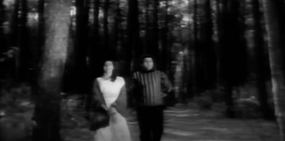 इक हसीन शाम को दिल मेरा खो गया-Ek Haseen Sham Ko Dil Mera Kho Gaya Lyrics