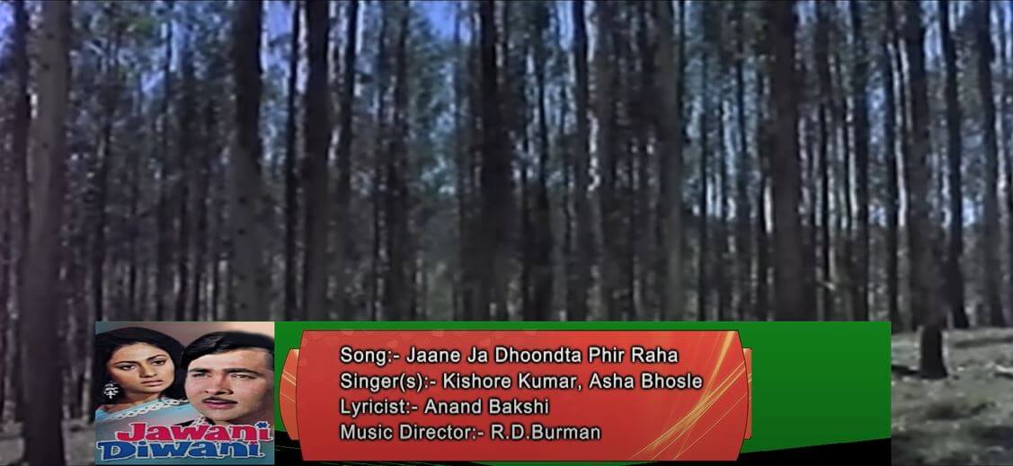 जान-ए-जाँ ढूँढता फिर रहा हूँ तुम्हें रात दिन-Janeja Dhoondta Phir Raha Hu Tumhe Raat Din Lyrics